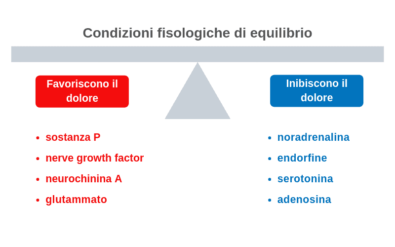 Sostanze che favoriscono o inibiscono il dolore Sostanze che favoriscono o inibiscono il dolore