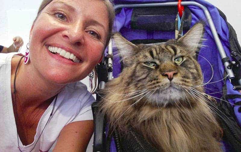 Il Gatto Che Ha Vissuto Più A Lungo