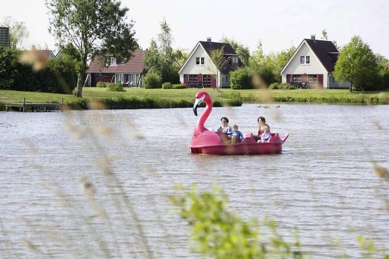 Mit den Tretbooten den See erkunden Mit den Tretbooten den See erkunden