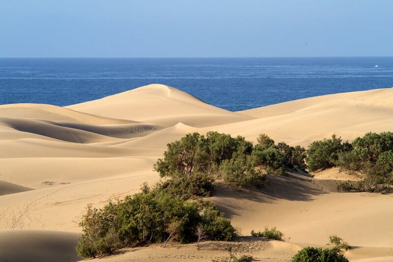 Maspalomas Dünen der Süden der Insel Maspalomas Dünen der Süden der Insel