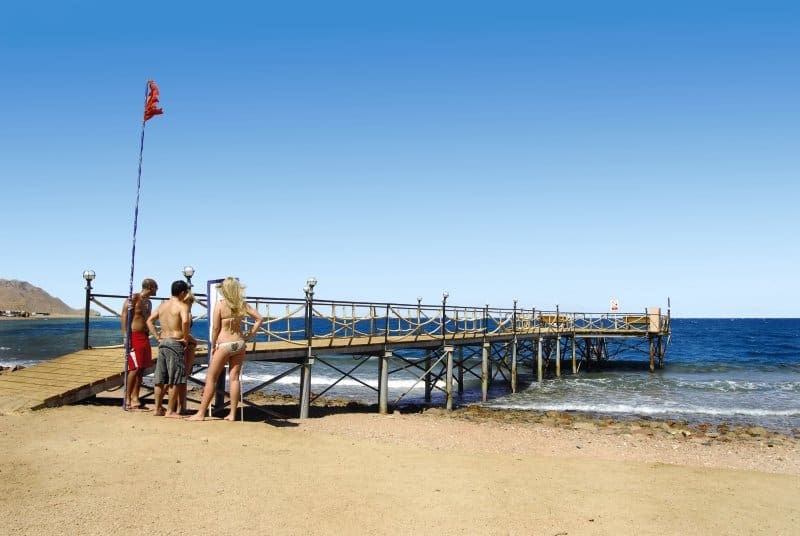 Steigt mal Abends auf den Steg und leuchtet in das Meer atemberauebend was so nah am Ufer schwimmt Steigt mal Abends auf den Steg und leuchtet in das Meer atemberauebend was so nah am Ufer schwimmt