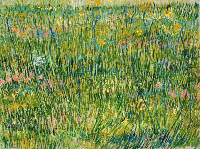 Van Gogh Patch of Grass