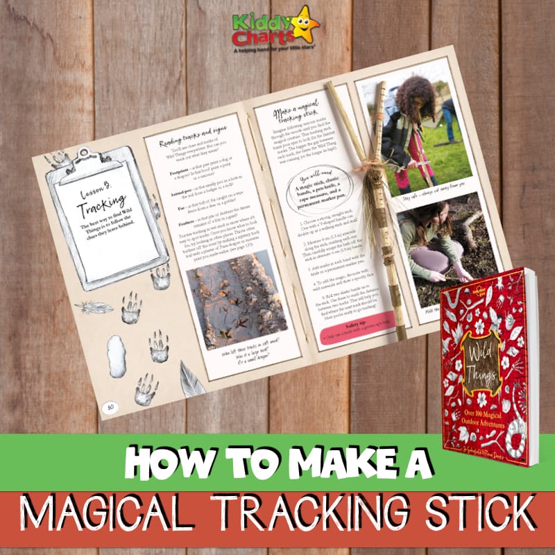 Today we’re sharing how to make a magical tracking stick so that you can easily get outdoors and have some fun tracking magical creatures that live among us. #nature #forestschool #kidsactivities #magic #fairies #fairyactivity