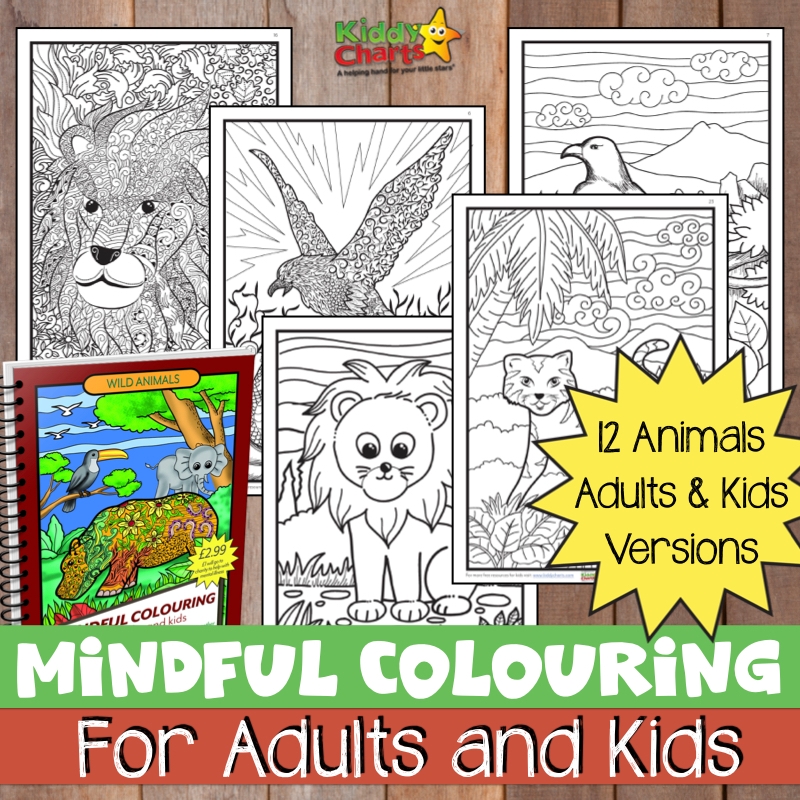 Win a wonderful kids craft and fun book bundle with Kiddy Charts!
