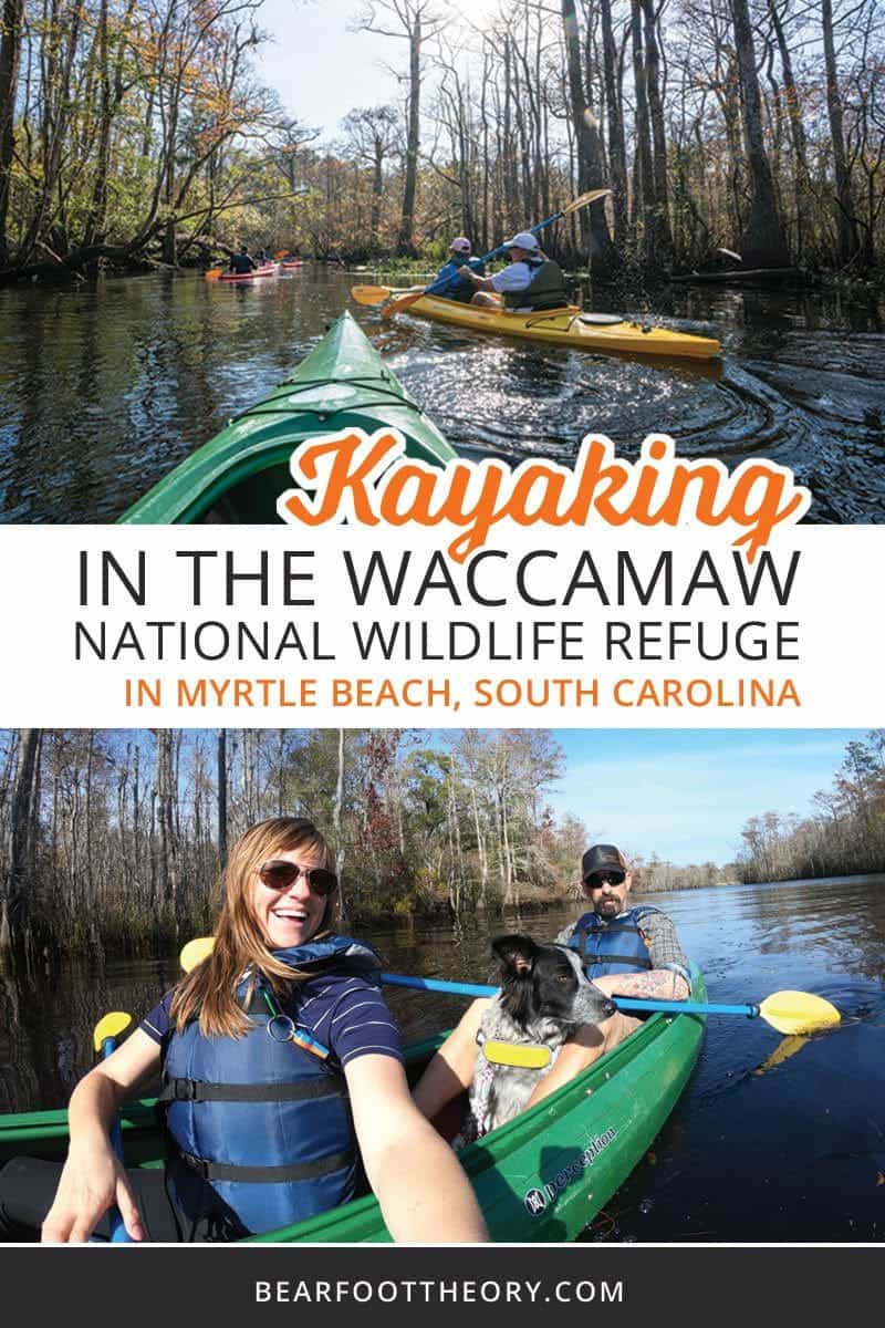 Add some adventure to your South Carolina vacation. Get the details and see photos from my Myrtle Beach kayaking tour with Gaitor Bait Adventures through the Waccamaw National Wildlife Refuge, where you have the chance to encounter alligators, birds, and other wildlife.