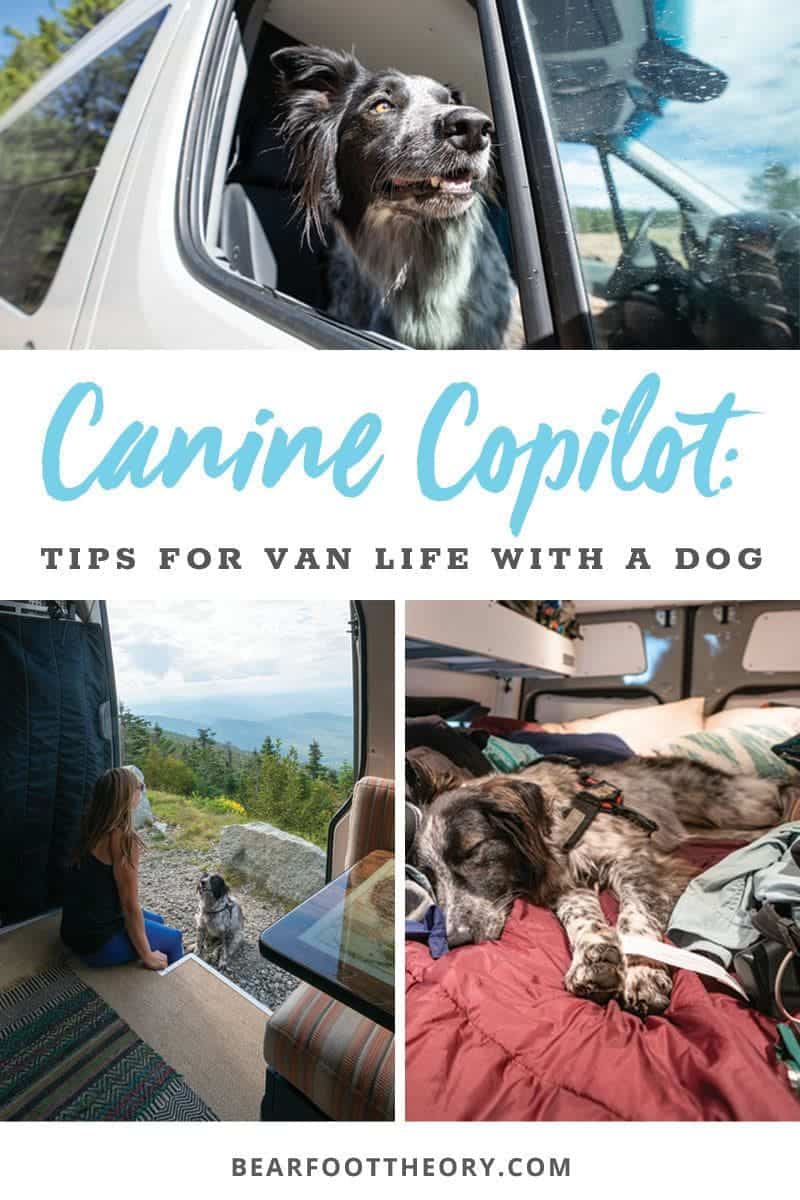 Wondering what van life with a dog is like? Here is my best advice for taking care of your pup & finding dog-friendly activities while living on the road.