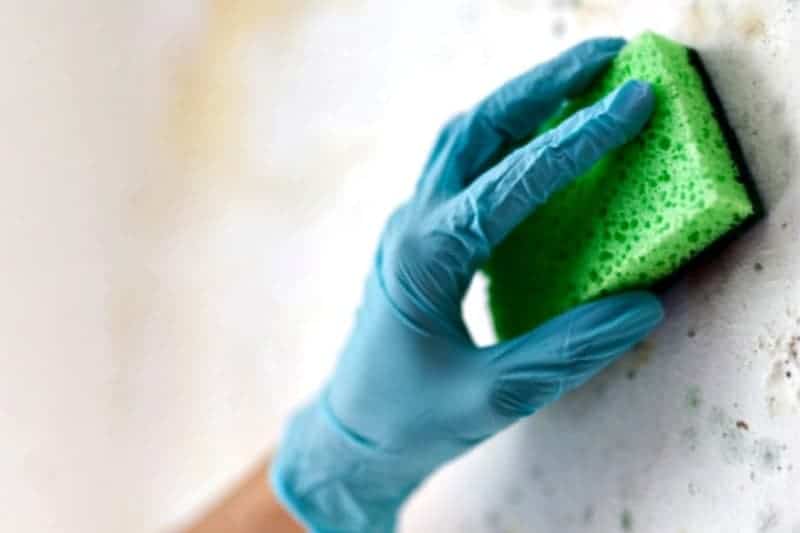 Removing mold in the walls using a sponge