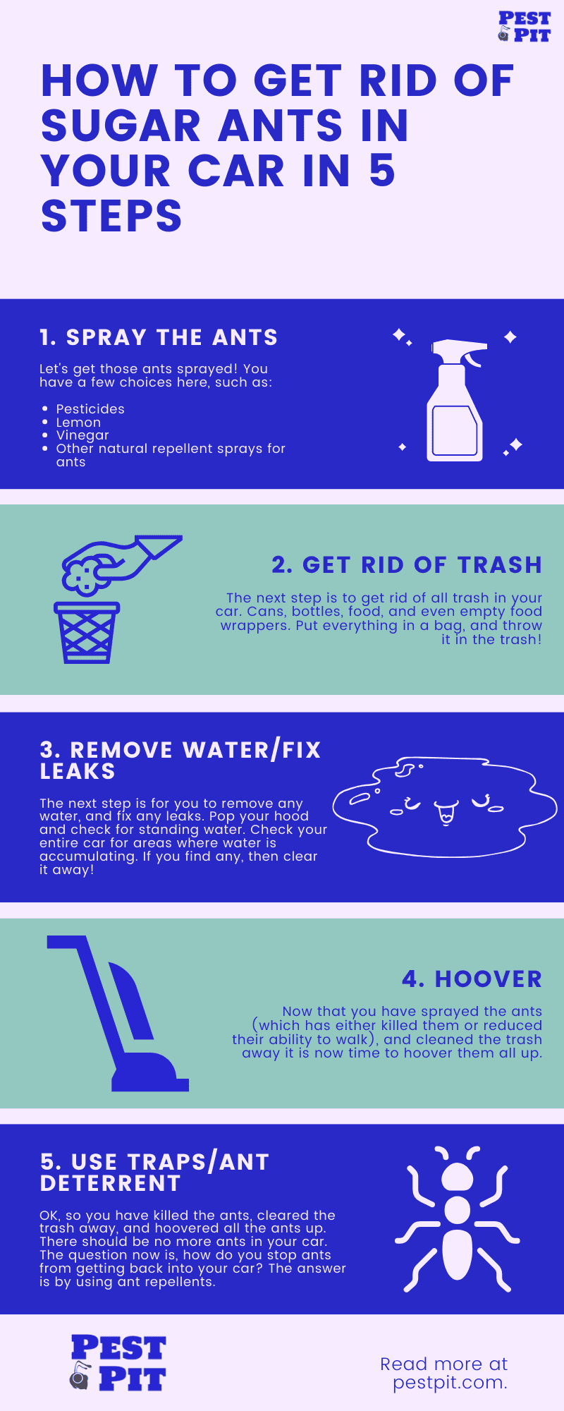 How To Get Rid Of Sugar Ants In Your Car Infographic