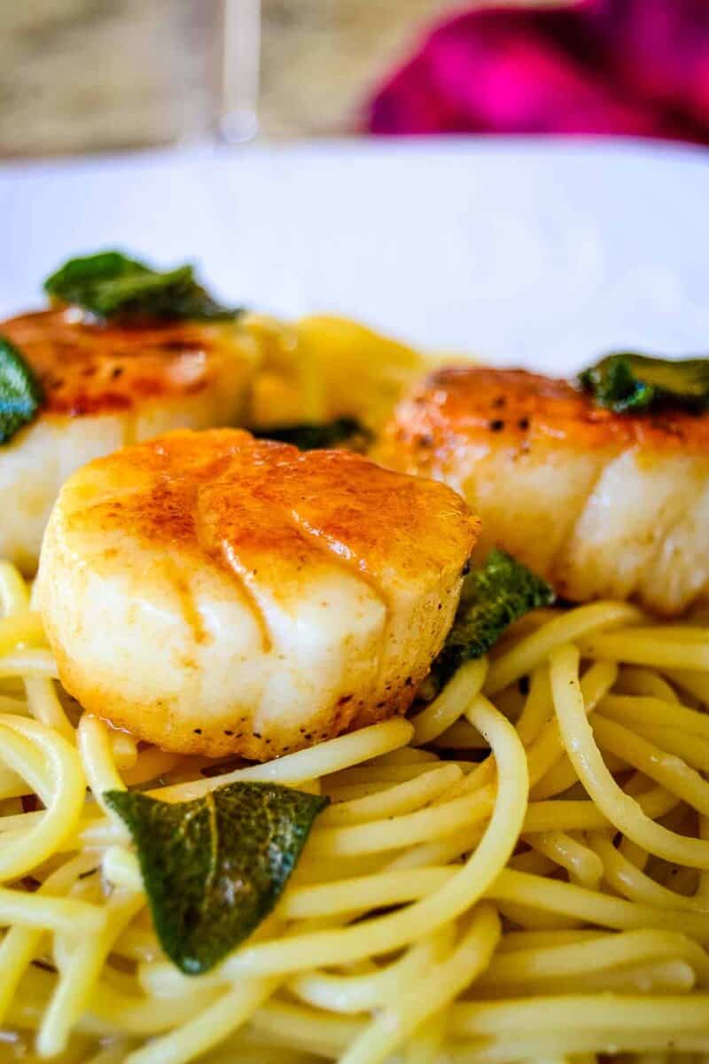 Sage Browned Butter Seared Scallop Pasta on a white plate.