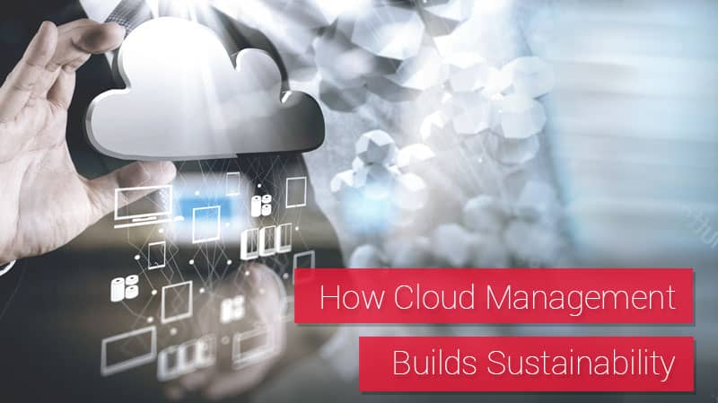 How Cloud Management Builds Sustainability