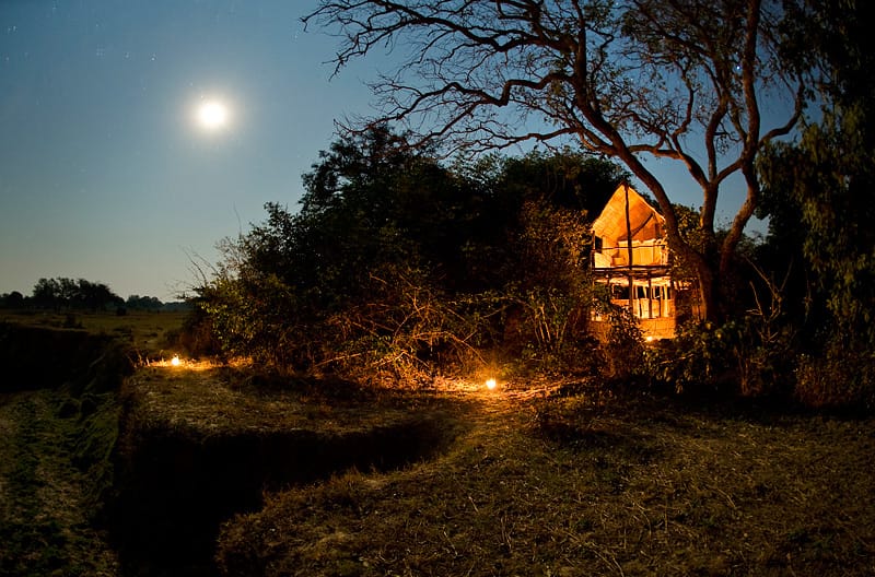 Chikoko Trails View At Night