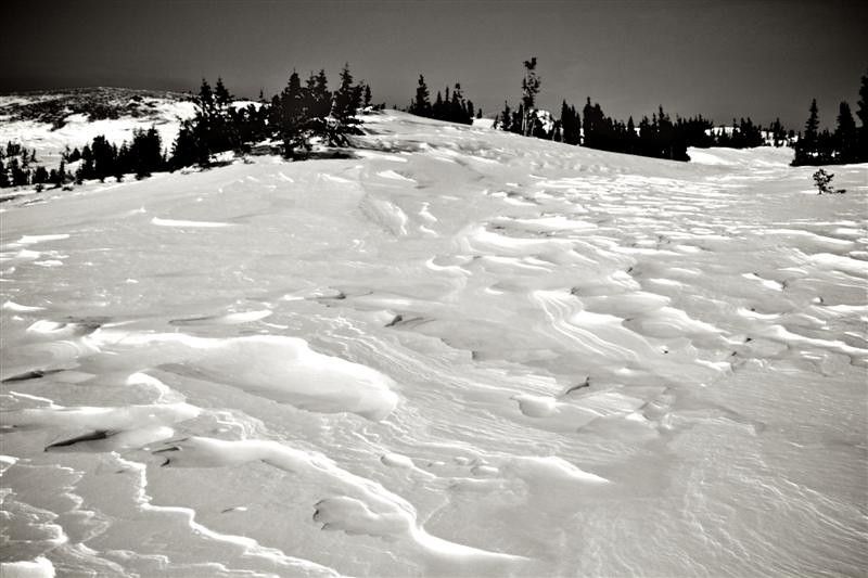 Tipos de nieve