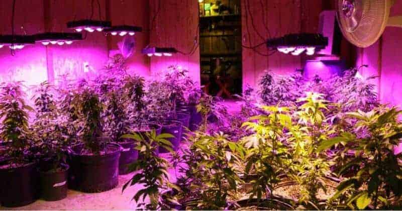 Calculate How Many Led Watts Are Required Per Square Foot ...