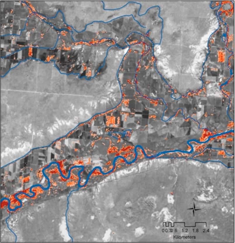 Map of detected tamarisk in southeastern Colorado, along the Arkansas River and irrigation ditches. Tamarisk infestations are shown from moderate (orange) to high (red). Map: Evangelista et al., 2009.