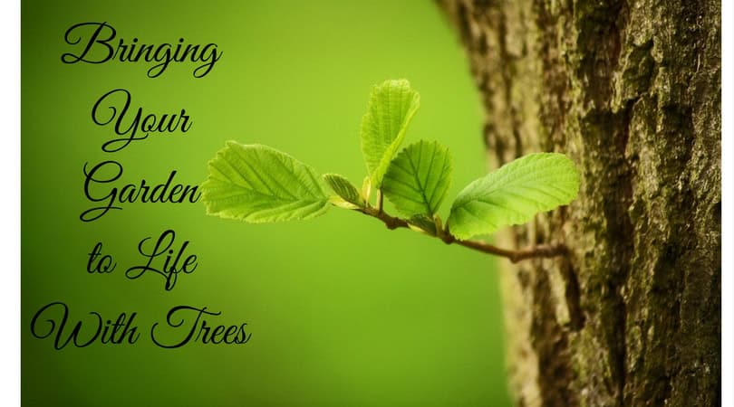 bringing you garden to life with trees