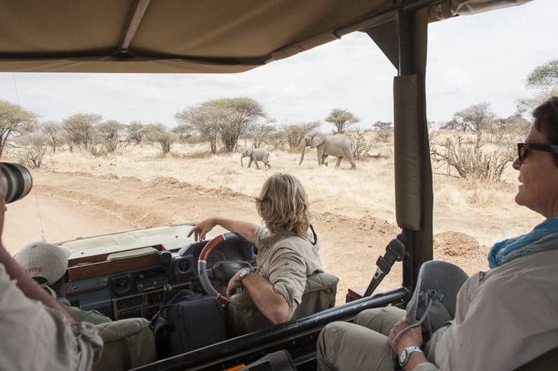 Kwihala Camp safari