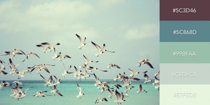 Serene and Relaxing