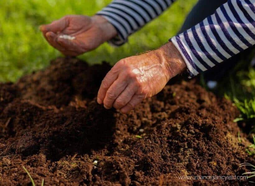 enrich the soil enrich the soil