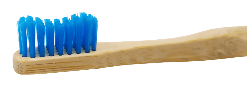 TropicBrush Bamboo Toothbrushes. Image shows the bristles of the toothbrush, the bristles are blue in colour.
