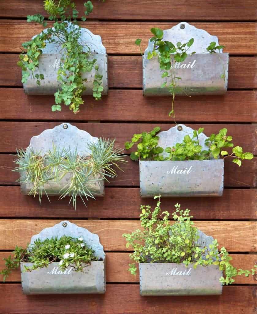 mailboxes repurposed into vertical garden planters