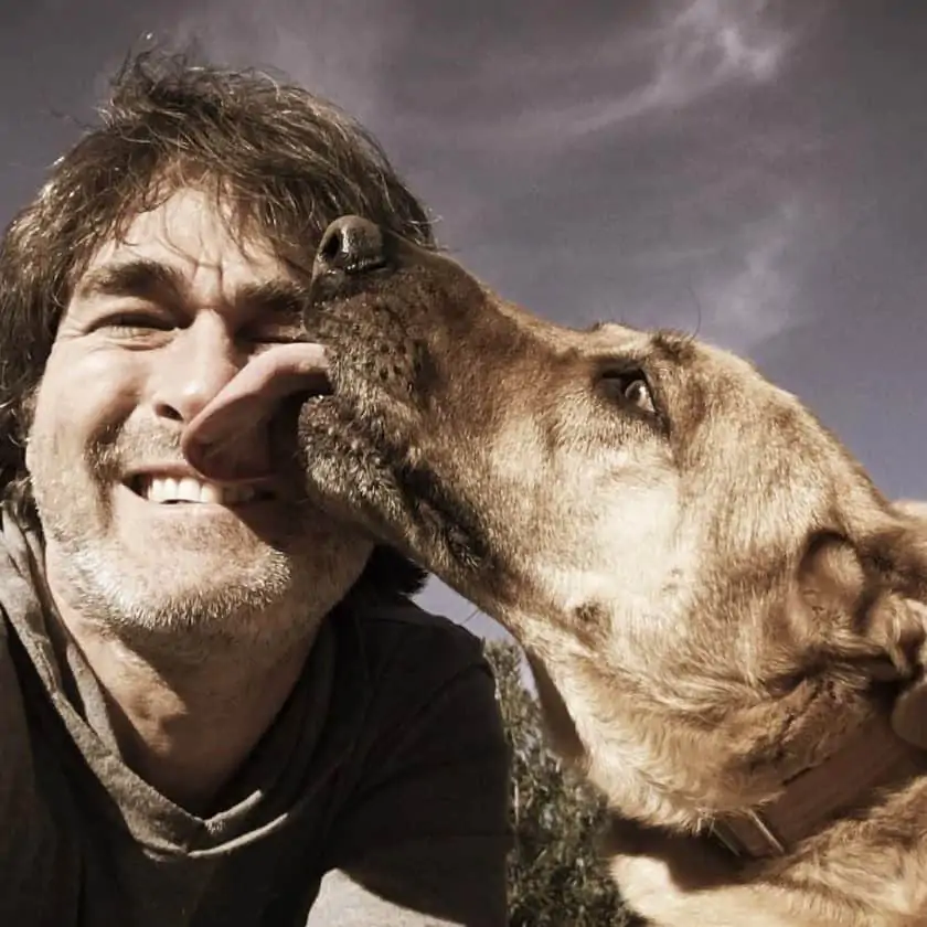 Why dogs lick: Grooming