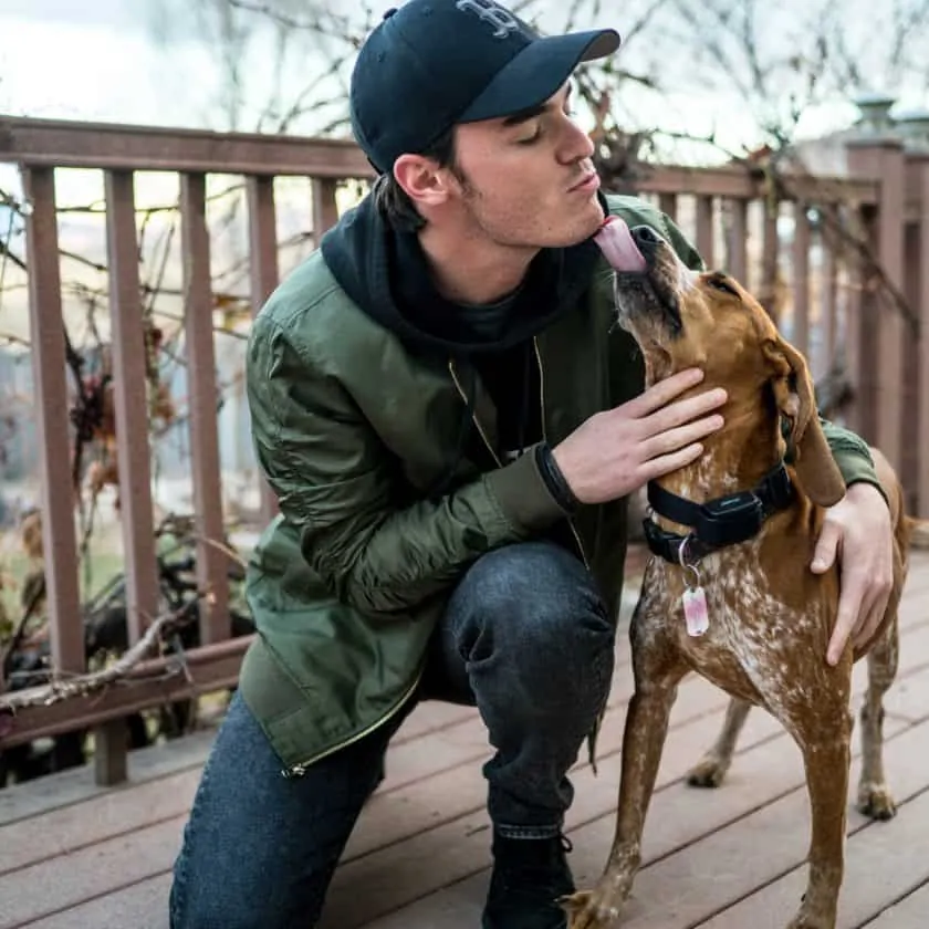 What does it mean when your dog licks you?