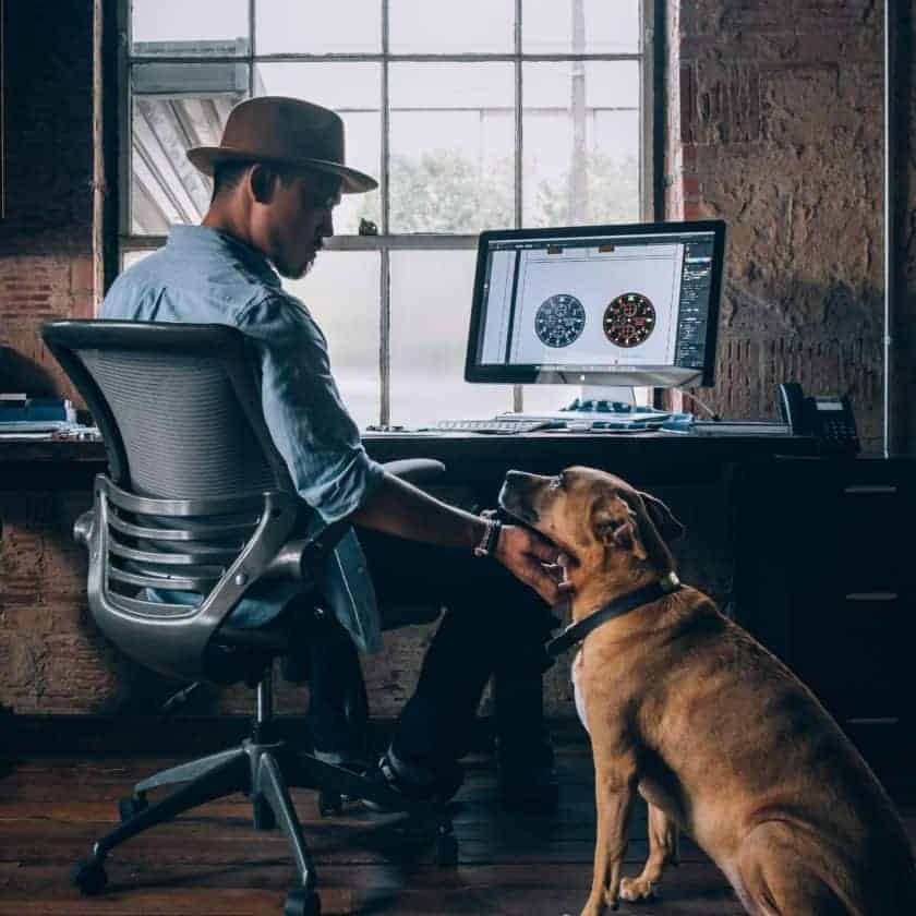 Tips to Survive Working from Home with a Puppy - Train your puppy to be independent