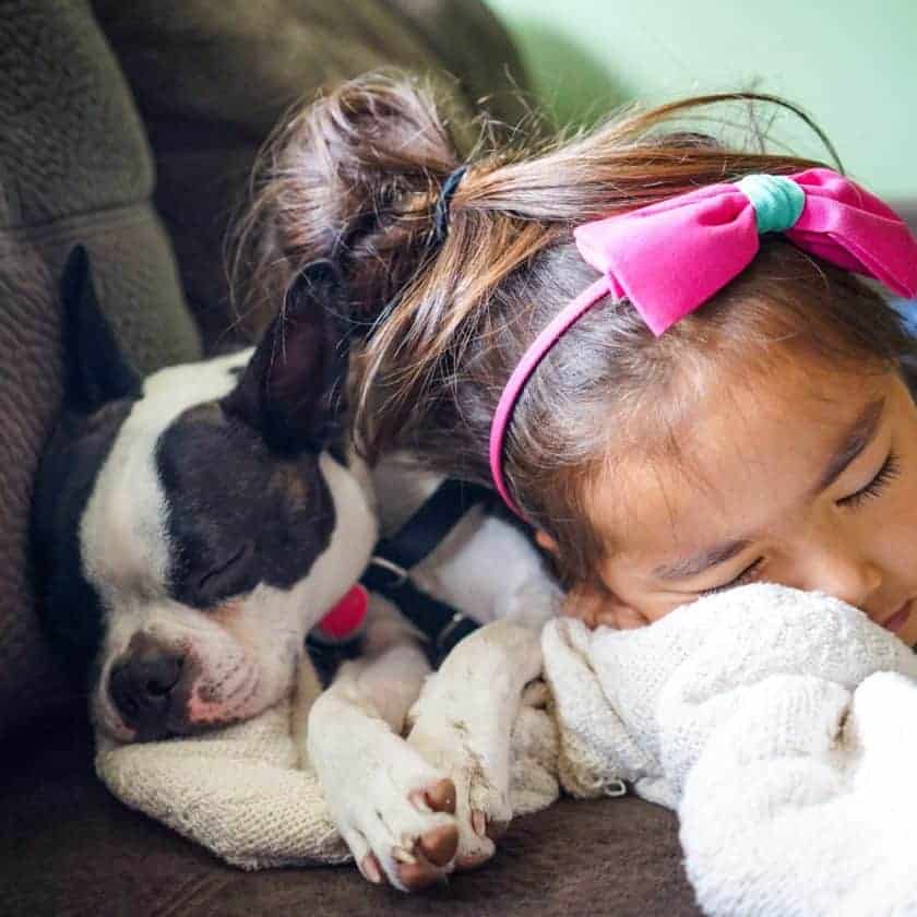 sleeping with your dog means you love him