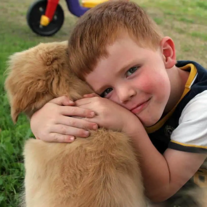 Shower them with attention and affection to become your dog's favorite person
