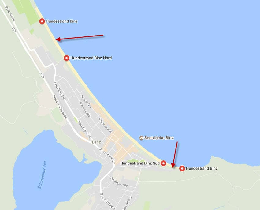 Map showing the two dog beaches in BINZ