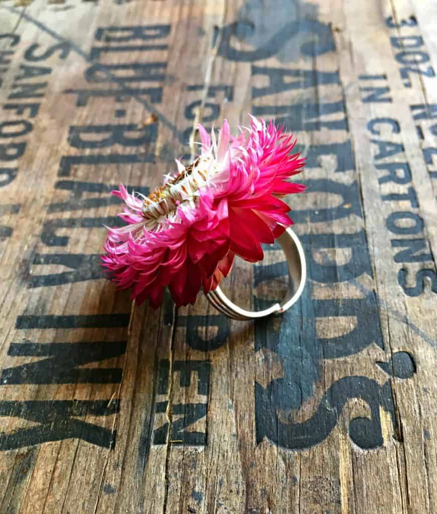 straw flower ring 1
