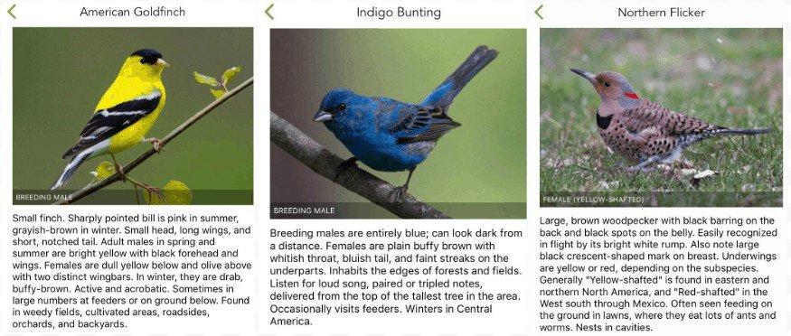 As Spring approaches, birds return from their winter homes. Merlin Bird ID can help you identify the birds you see in your yard and is a great tool for studying Spring science