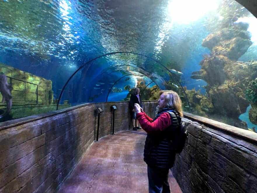 Malta National Aquarium tunnel