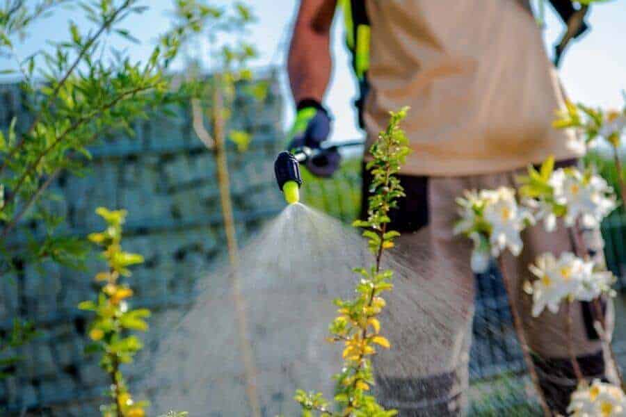 How Do I Apply Liquid Lawn Fertilizer_ How Do I Apply Liquid Lawn Fertilizer?