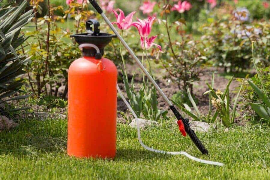 What Are The Pros and Cons of Liquid Lawn Fertilizer_ What Are The Pros And Cons Of Liquid Lawn Fertilizer?
