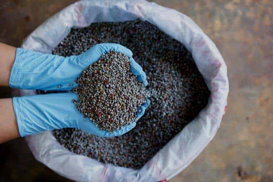 What Are The Pros and Cons Of Granular Fertilizer_ What Are The Pros And Cons Of Granular Fertilizer?
