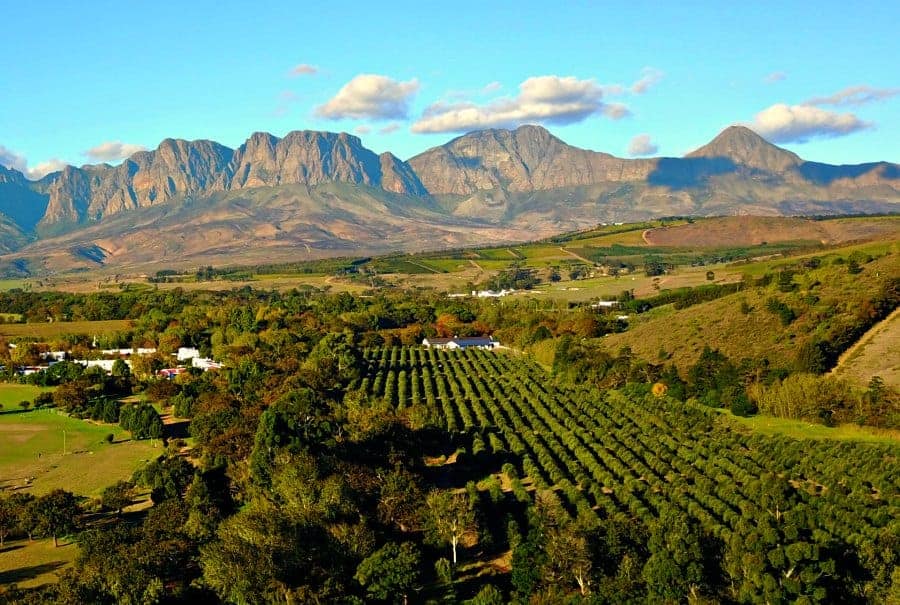 Stellenbosch Wine Farm Itineraries