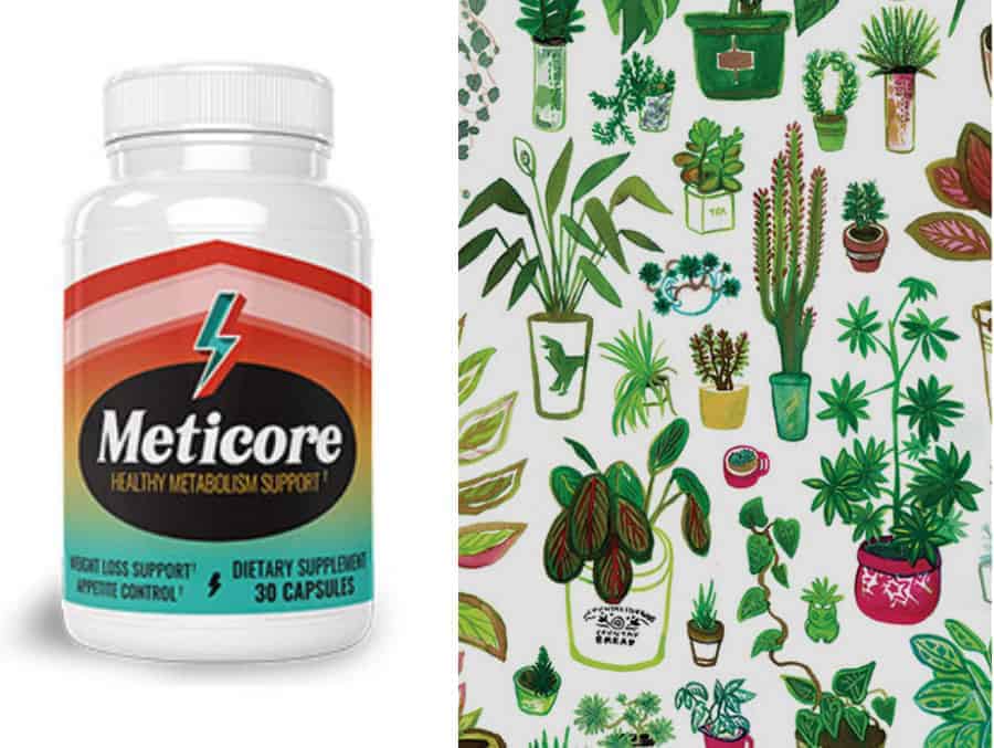 Meticore Review
