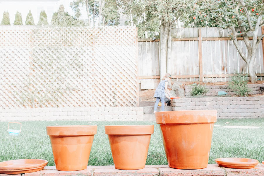 How to Clean Terracotta Pots