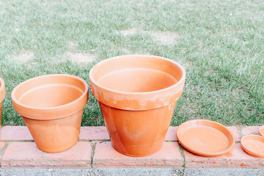How to Clean Terracotta Pots