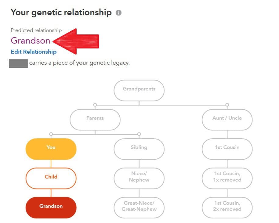 Red arrow points to Grandson, the predicted relationship on 23andMe. Graphic also includes relationship chart showing how DNA match (grandson) is possibly related