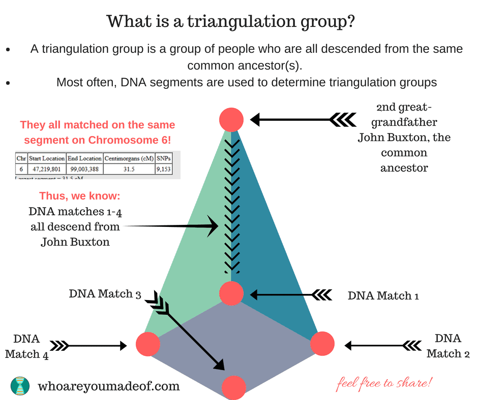 What is a triangulation group? A triangulation group is a group of people who are all descended from the same common ancestor. Most often, DNA segments are used to determine triangulation groups.