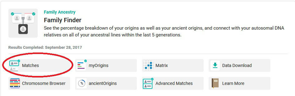 Click on "Matches" - the first option under the Family Finder heading - to access your DNA matches