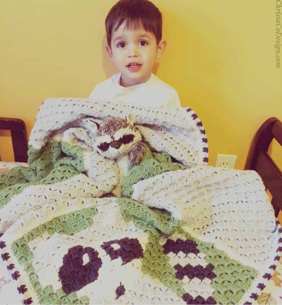 picture of grey and green toddler boy crochet c2c blanket raccoon pattern free