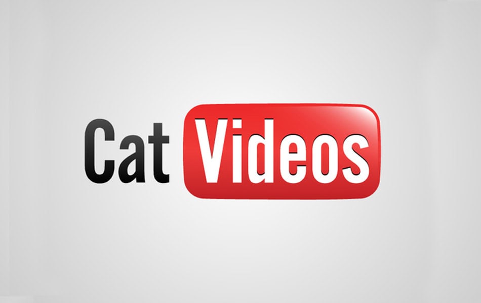 honest logo sul web marketing dei gatti