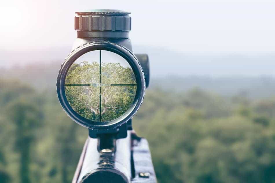 What Magnification Do You Need for Typical Use of a 300 BLK?