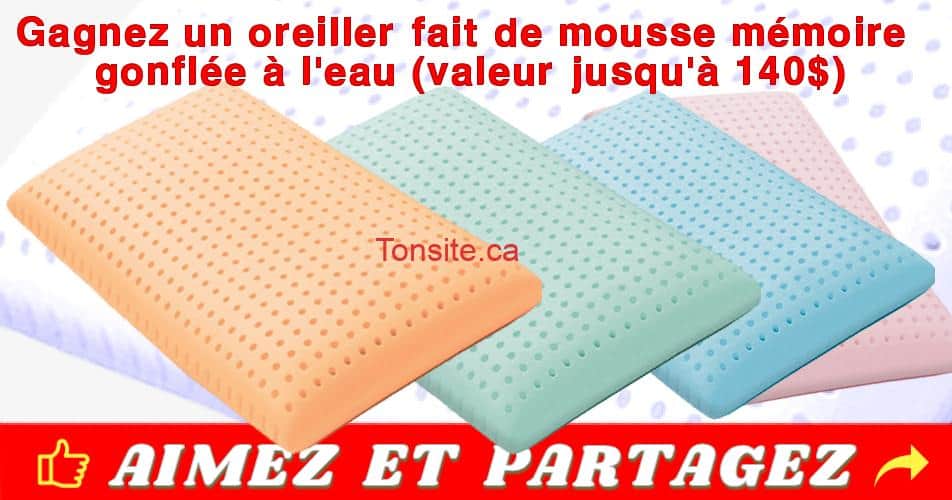 Gagnez un oreiller BLU fait de mousse mémoire gonflée à l'eau (valeur jusqu'à 140$) gagnon concours - Gagnez un oreiller BLU fait de mousse mémoire gonflée à l'eau (valeur jusqu'à 140$)