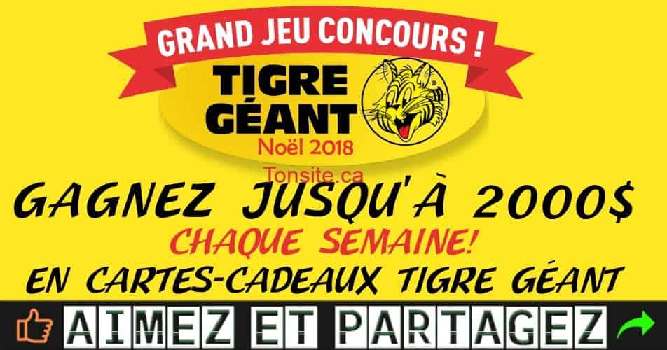 Concours de Noël 2018 de Tigre Géant: Gagnez jusqu'à 2000$ par semaine! en cartes-cadeaux tigre geant concours noel 2018 - Concours de Noël 2018 de Tigre Géant: Gagnez jusqu'à 2000$ par semaine! en cartes-cadeaux