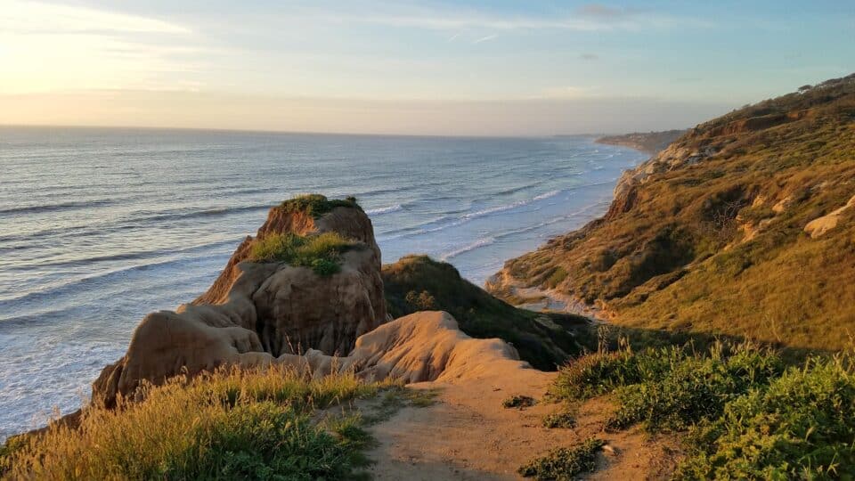 Torrey Pines