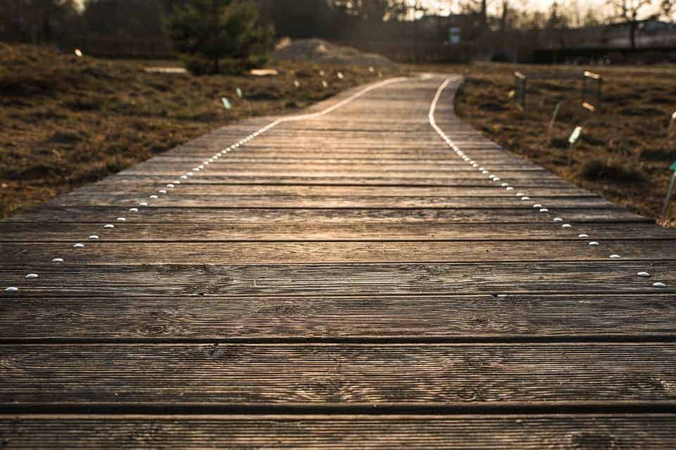 The first road in Romania was paved with wood